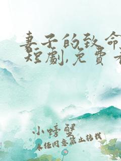 妻子的致命谎言 短剧,免费看