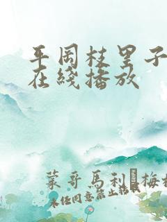 平冈枝里子av在线播放