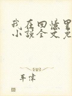 我在回忆里等你小说全文免费阅读