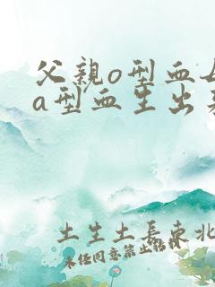 父亲o型血母亲a型血生出来的宝宝是什么血型