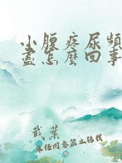 小腹疼尿频尿不尽怎么回事