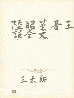 陆昭菱晋王的小说全文