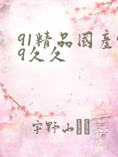 91精品国产99久久