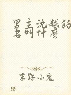 男主沈越的小说名叫什么