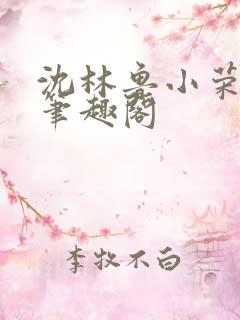 沈林鲁小荣小说笔趣阁