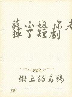 苏小姐 你老公掉了短剧