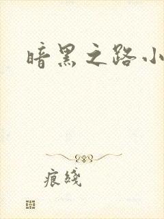 暗黑之路小说