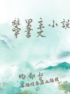 双男主小说推荐穿书文