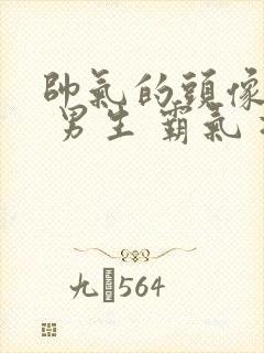 帅气的头像动漫 男生 霸气 冷酷