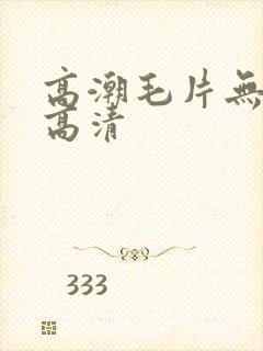 高潮毛片无遮挡高清