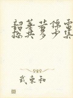 韶华若锦电视剧总共多少集啊