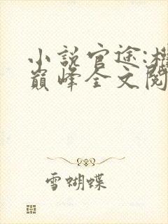 小说官途:权力巅峰全文阅读