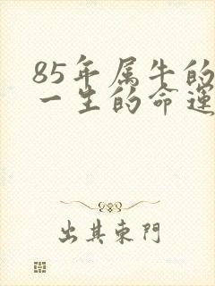 85年属牛的人一生的命运如何