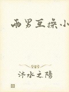 两男互操小说