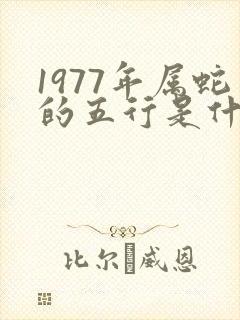 1977年属蛇的五行是什么命格