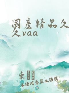 国产精品久久久久vaa