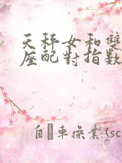 天秤女和双子男座配对指数