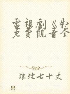 电视剧《对决》免费观看全集高清版