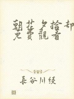 朝花夕拾却已迟免费观看