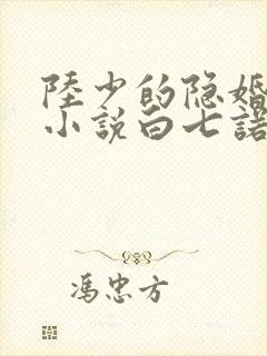 陆少的隐婚罪妻小说白七诺