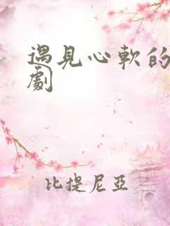 遇见心软的神网剧