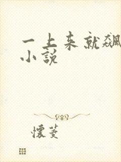 一上来就飙车的小说