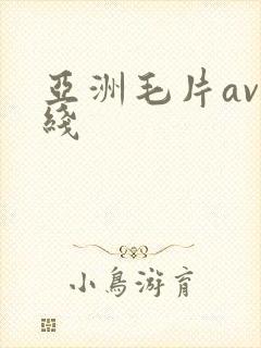 亚洲毛片av在线