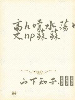 高h喷水荡肉爽文np苏苏