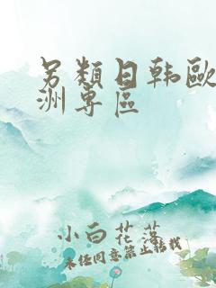 另类日韩欧美亚洲专区