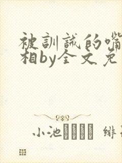 被训诫的嘴硬丞相by全文免费阅读小说