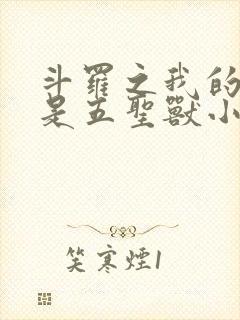 斗罗之我的武魂是五圣兽小说