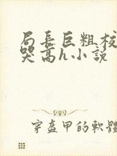 局长巨粗校花疼哭高h小说