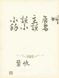 小说主角叫季枫的小说名