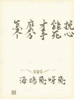 怎么才能挽回一个分手死心的男人