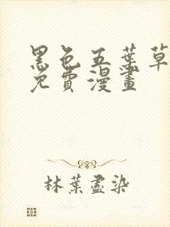 黑色五叶草漫画免费漫画