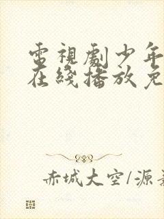 电视剧少年派2在线播放免费观看