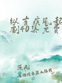 纵有疾风起电视剧40集免费观看