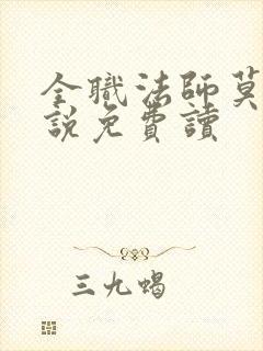 全职法师莫凡小说免费读