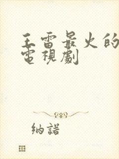 王雷最火的十部电视剧