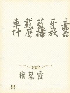 车载蓝牙音乐用什么播放器好