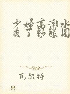 少妇高潮水多太爽了动态图