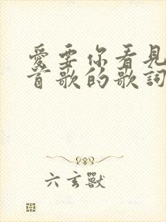 爱要你看见是哪首歌的歌词