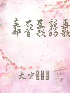 来不及说再见是哪首歌的歌词