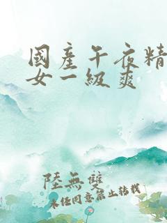 国产午夜精品男女一级爽