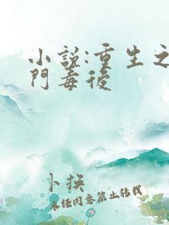 小说:重生之将门毒后
