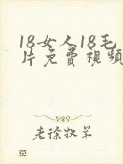 18女人18毛片免费视频