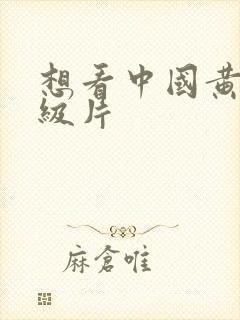 想看中国黄色一级片