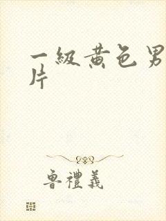 一级黄色男女大片