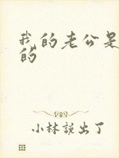 我的老公是重生的