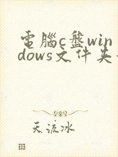 电脑c盘windows文件夹哪些东西可以删除